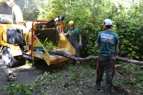 tree services Humphrey